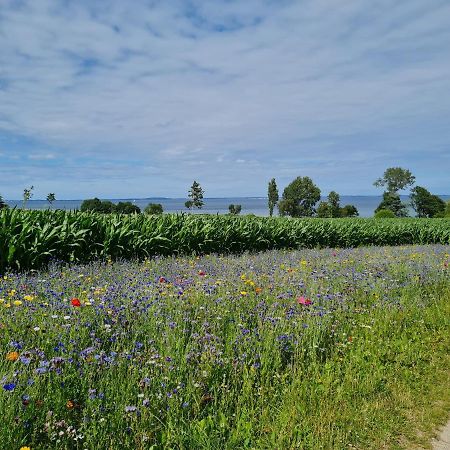 Kiekutsland Lägenhet Westerholz Exteriör bild